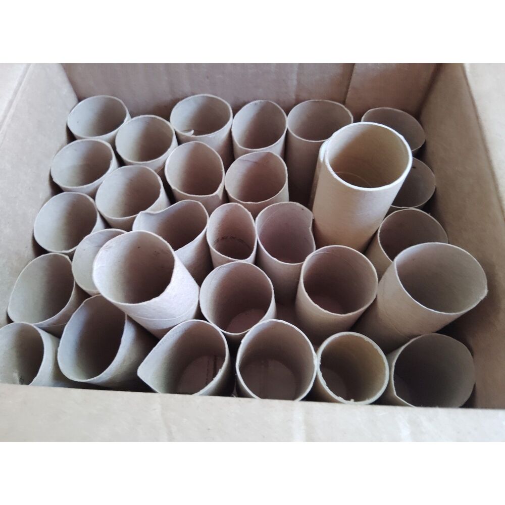 Lot of 30 Clean Empty Toilet Paper Rolls Cardboards For Arts & Crafts